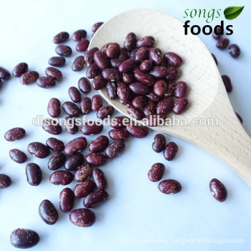 Red speckled sugar beans suplliers in china